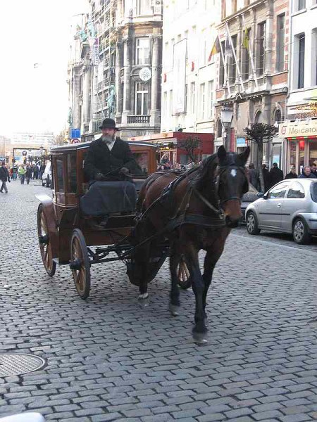 Kerstreis Antwerpen 2008
